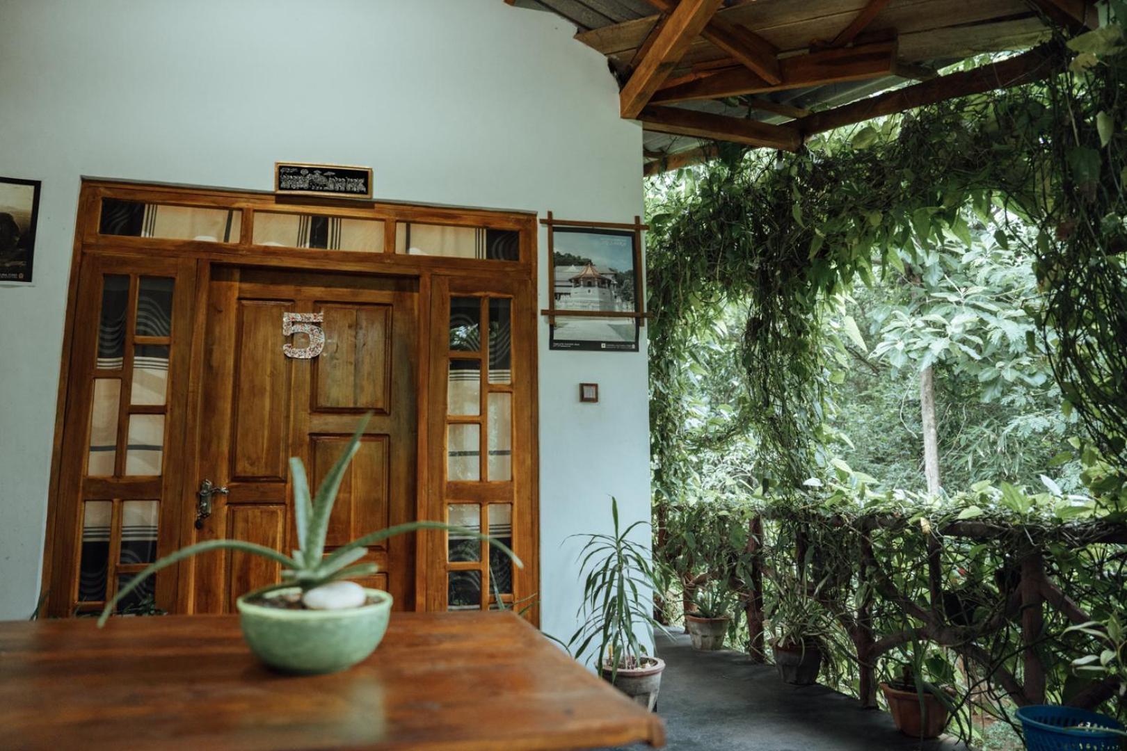 Aloe Vera Guest House Dambulla Εξωτερικό φωτογραφία