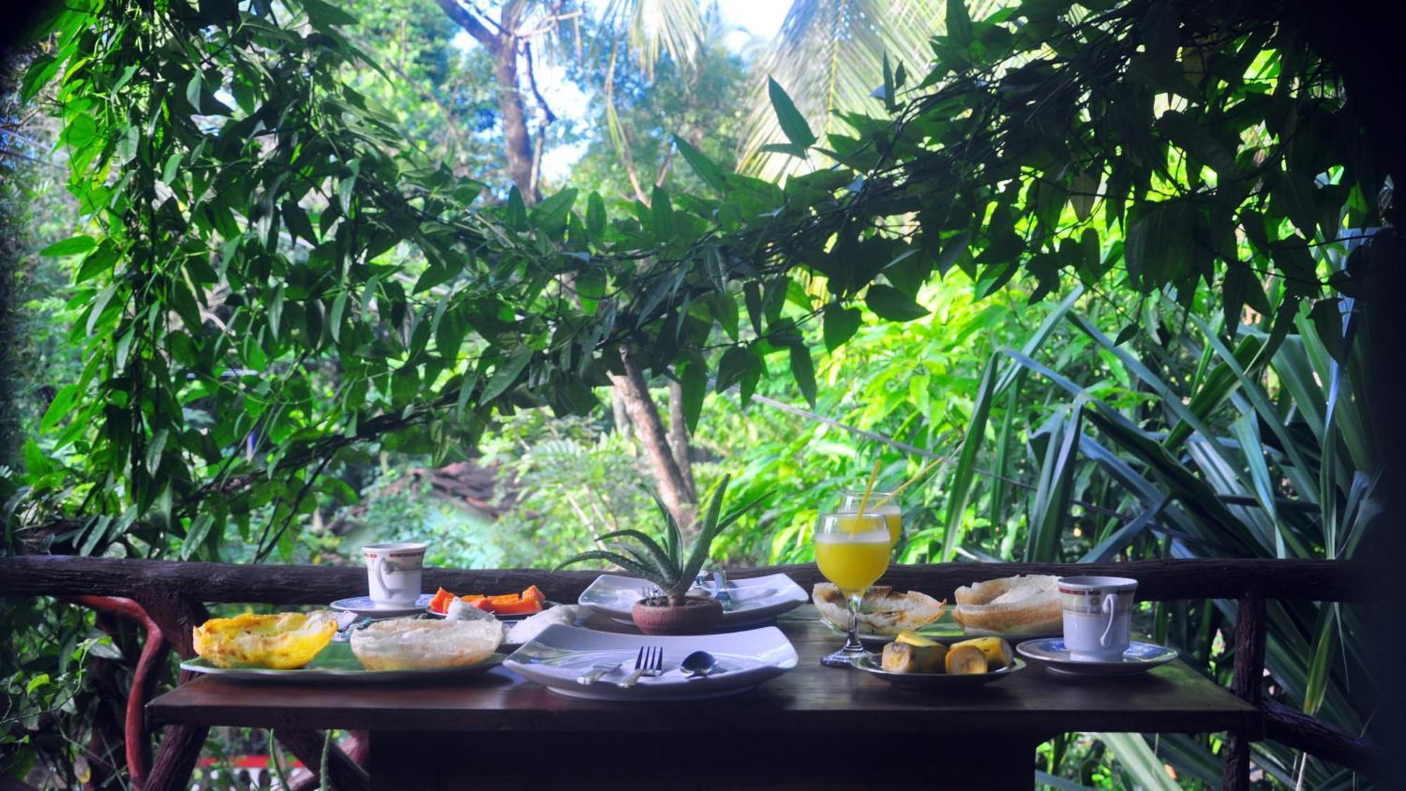 Aloe Vera Guest House Dambulla Εξωτερικό φωτογραφία