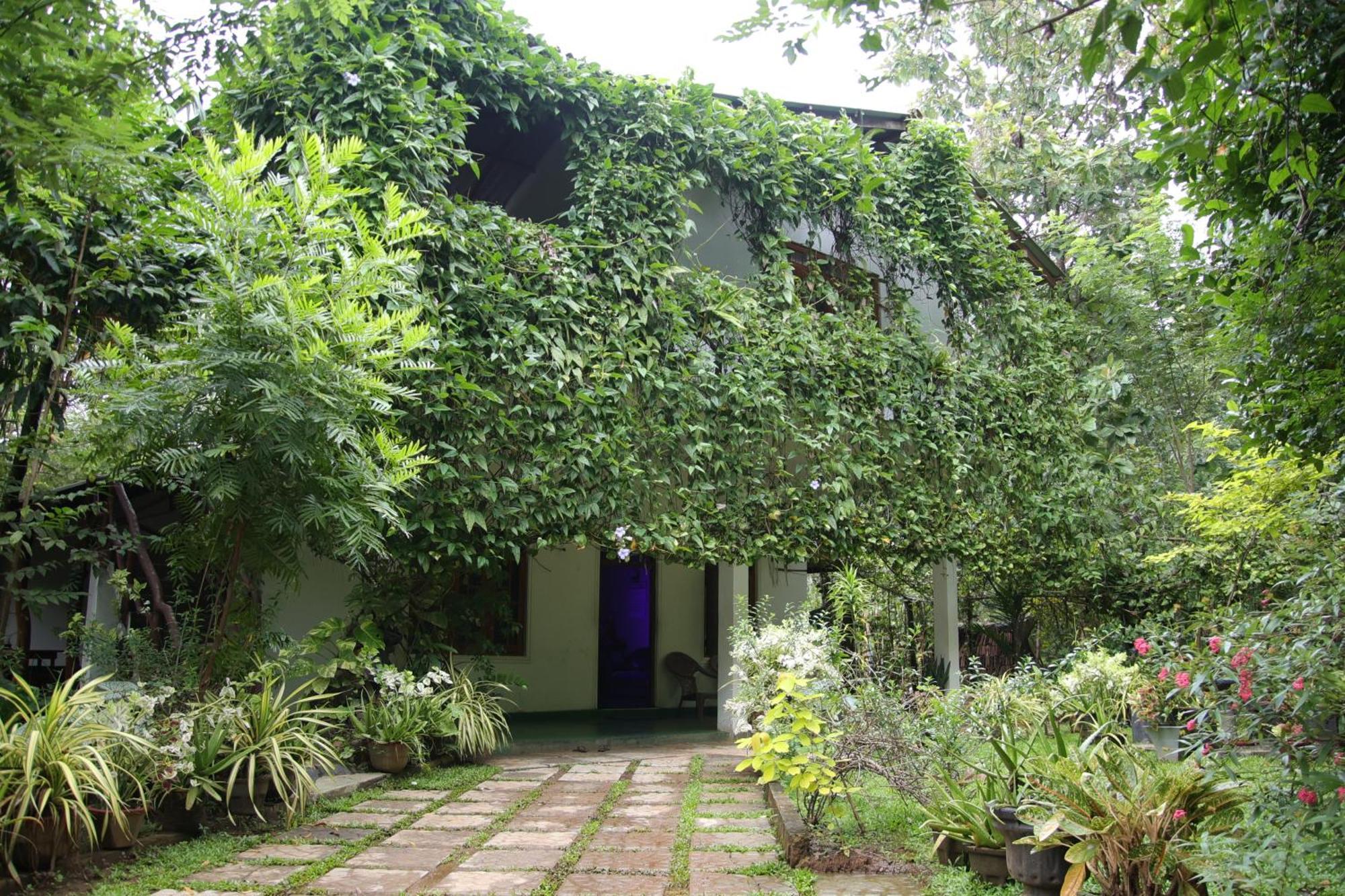 Aloe Vera Guest House Dambulla Εξωτερικό φωτογραφία